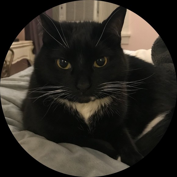 mmistoffelees